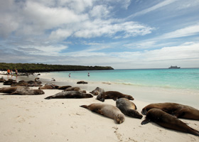 Urlaub ::: Galapagos ::: Reisebüro Blesius in Oppenheim